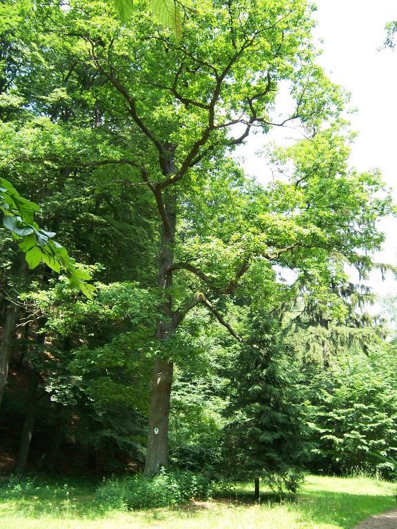 Ferienwohnung Im Stieg 4 Quedlinburg Luaran gambar